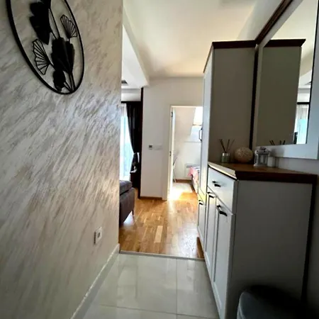 Altavista * ズラティボール