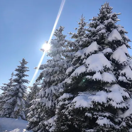 アパート Altavista